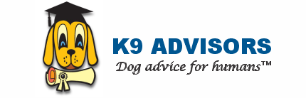 Puppy Training in Miami - K9 Advisors