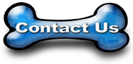 Contact K9 Advisors