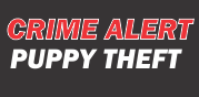 Crime Alert Puppy Theft