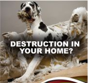 Destruction In Your Home