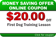 Dog Training Coupon