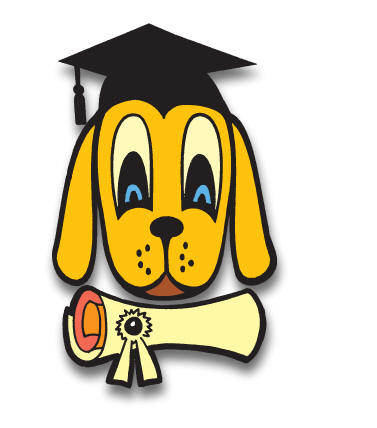 K9 ADVISORS