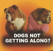 Dogs Not Getting Along