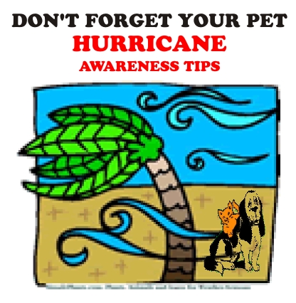 Hurricane Awareness Tips