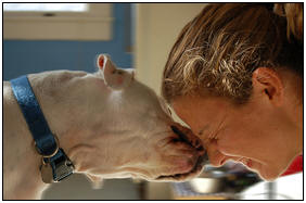Miami Coalition Against Breed Specific Legislation