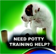 South Florida Dog Trainers - K9 ADVISORS Dog Training