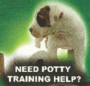 Need Potty Training Help?