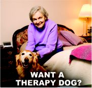 Want a Therapy Dog