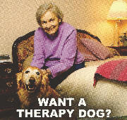 Want A Therapy Dog?