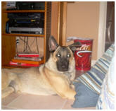Kahlua