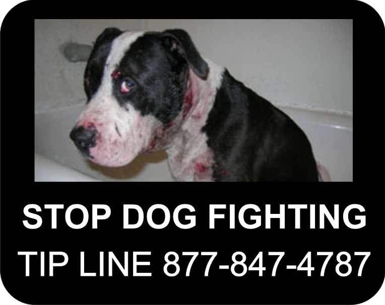 Dog Fighting Tip Line