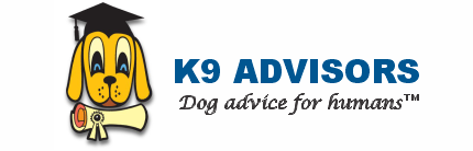 Service Dog Trainer Broward - K9 Advisors