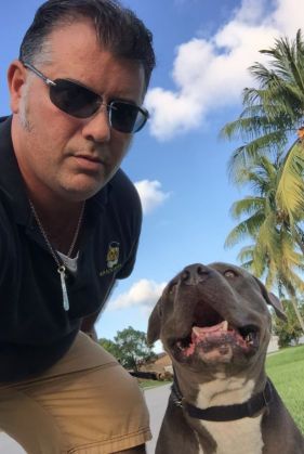 Expert Dog Training South Florida