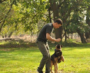 k9 dog training