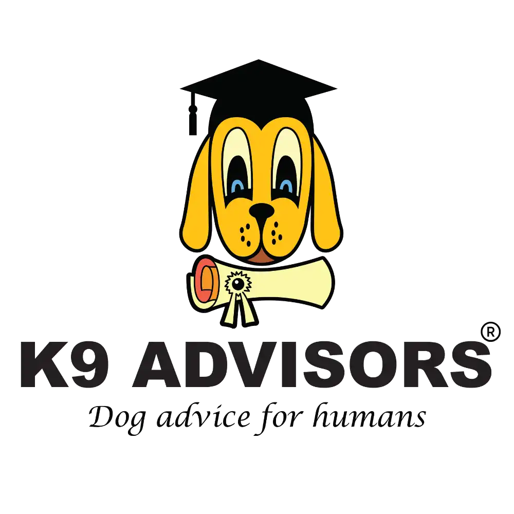 K9 Advisors